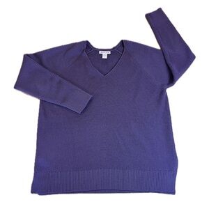 Athleta V-Neck Knit Sweater Large Plum Purple Merino Wool Blend Soft *Flaw*